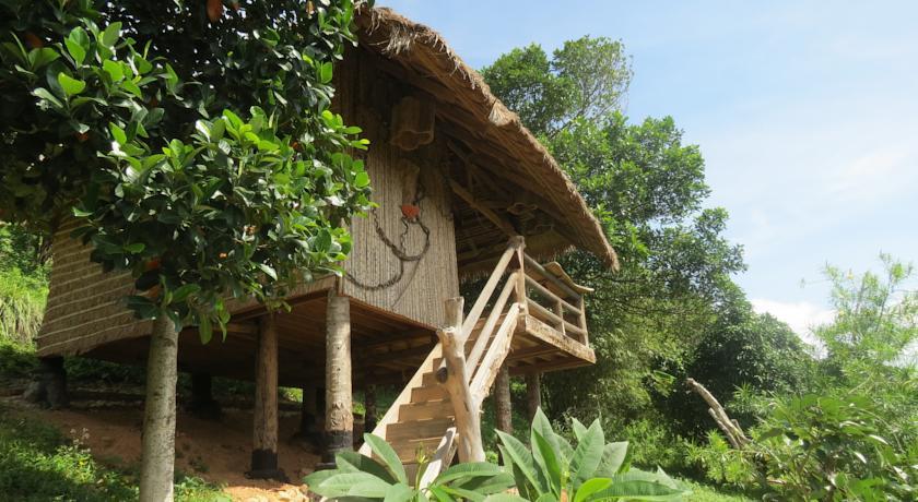 Хостел Tree Top Bungalows