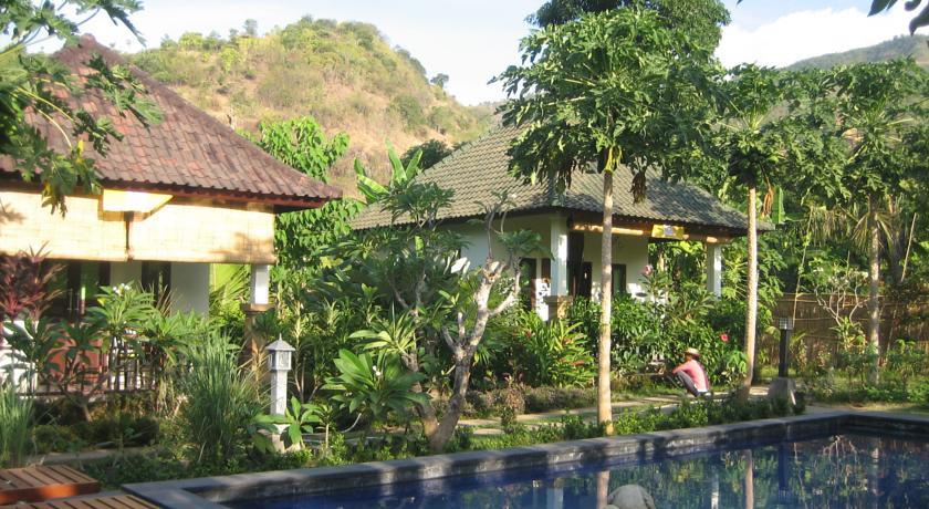 Отель Amed Harmony Cafe and Bungalow