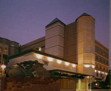 Отель Hotel Castle