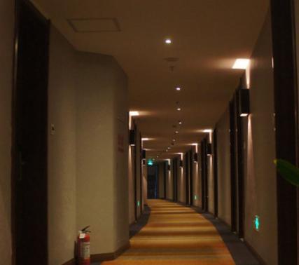 Отель Shanghai Zhangjiang Yitel Hotel
