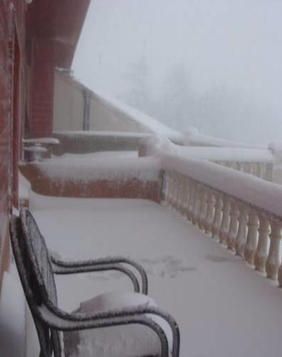 Отель Alpine Hotel