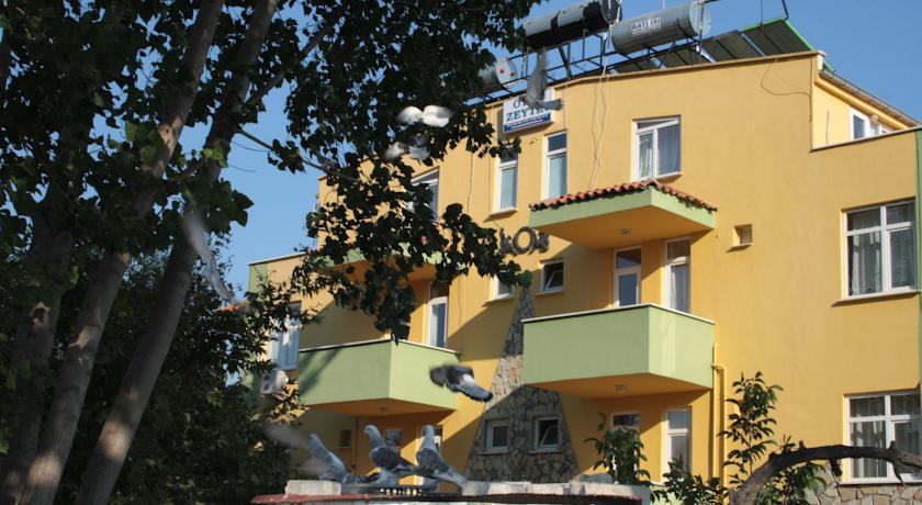 Отель Zeytin Hotel
