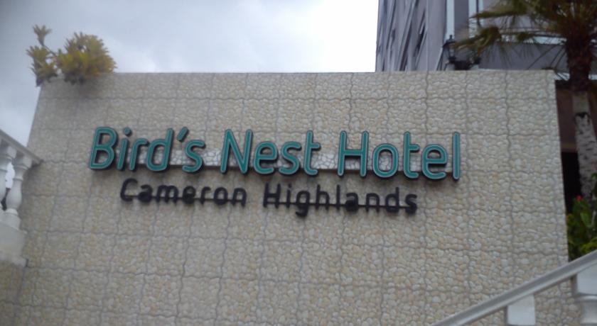 Отель Bird's Net Hotel