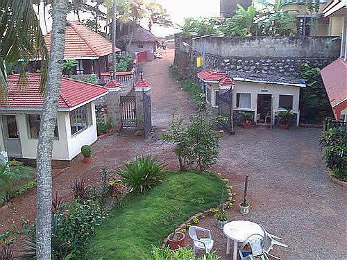 Отель Palm Ayurvedic Beach Resort