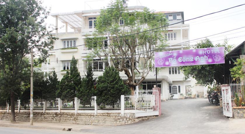 Dandelion Hotel