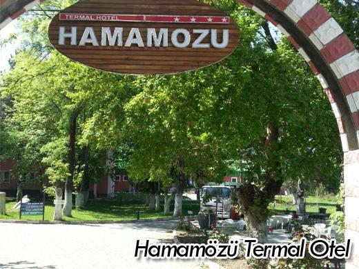 Отель Hamamozu Termal Hotel