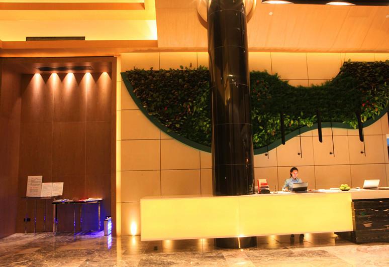 Отель Silverworld Hotels & Resorts