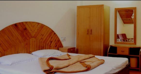 Отель Hotel Shandela