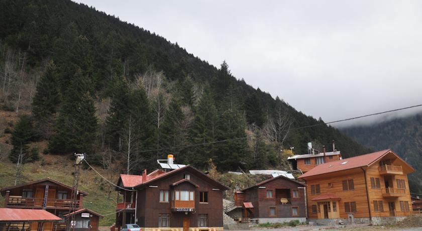 Отель Uzungol Motel