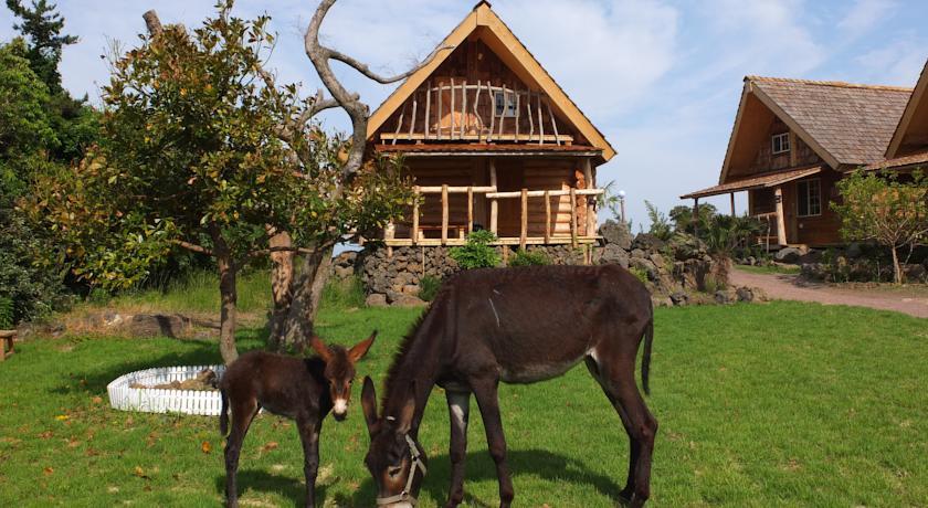Tree house