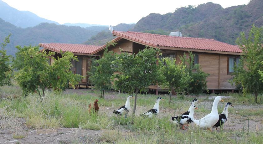 Beyaz Nar Holiday Houses