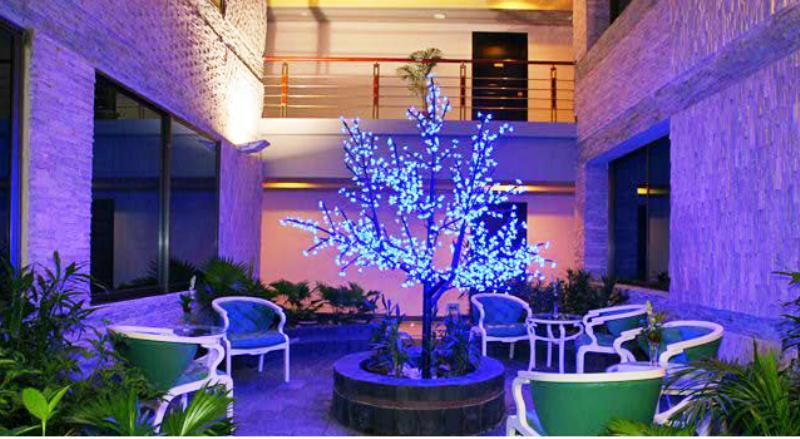 Отель Hotel Star Pacific