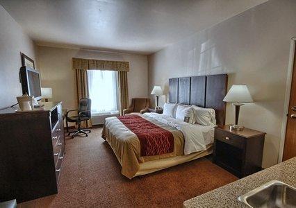 Отель Holiday Inn Express Hotel & Suites FENTON