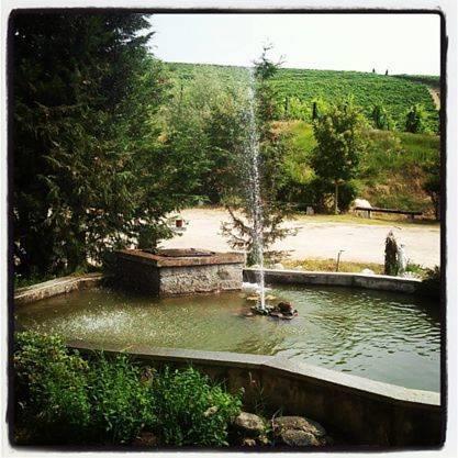 Отель Gran Collina