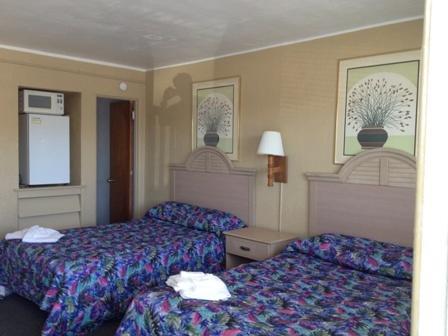 Отель Sandy Shores Resort Motel