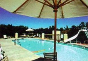 Отель Econo Lodge Silver Dollar City Area