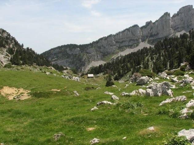 Апартаменты Gîte Les 3 Edelweiss