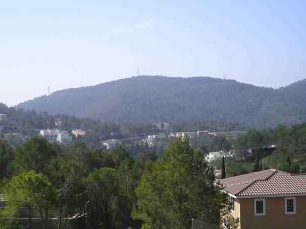 El Olivo