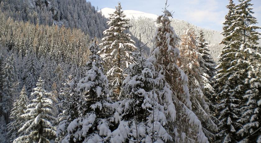 Вилла Villa Champex