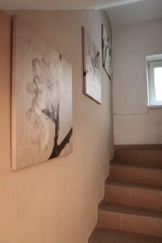 Апартаменты Ubytovanie a Wellness Avellano