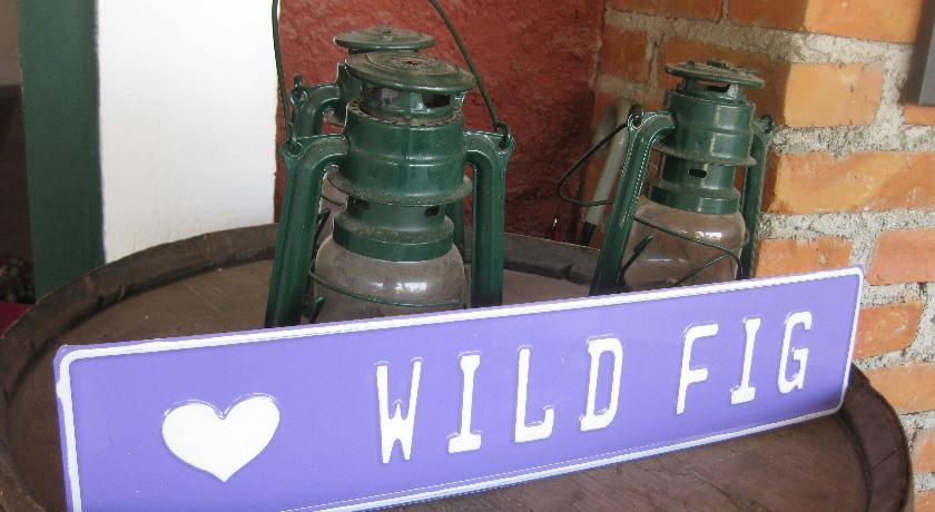The Wild Fig