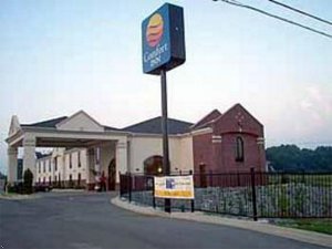 Отель Comfort Inn Hanceville