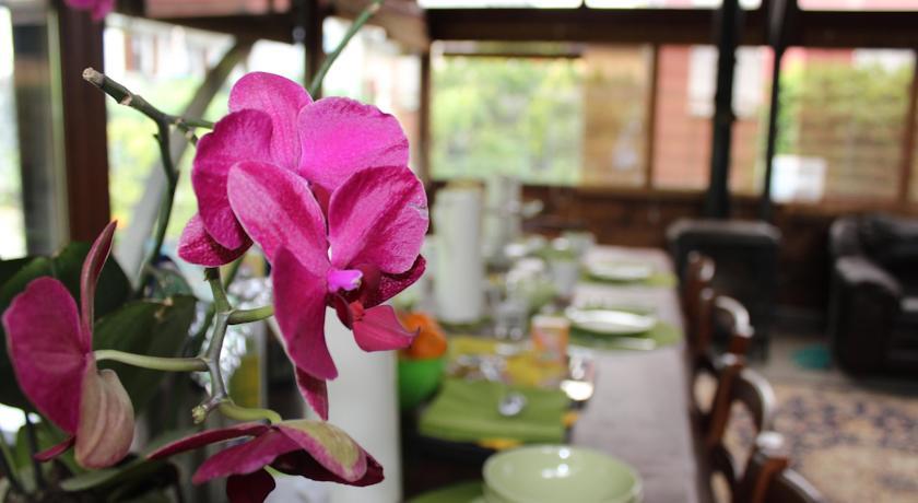 Мини-отель Bed and Breakfast Greenfairy