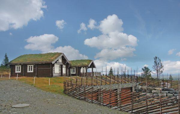 Апартаменты Holiday home Gol 35
