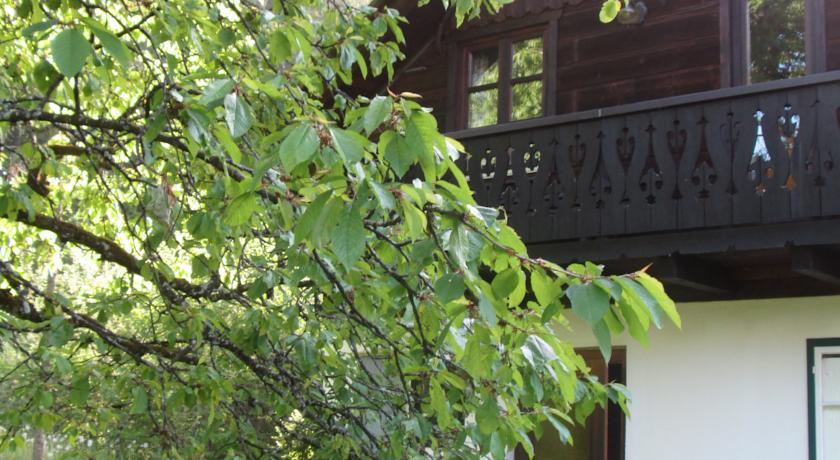 Апартаменты Haus Stenitzer