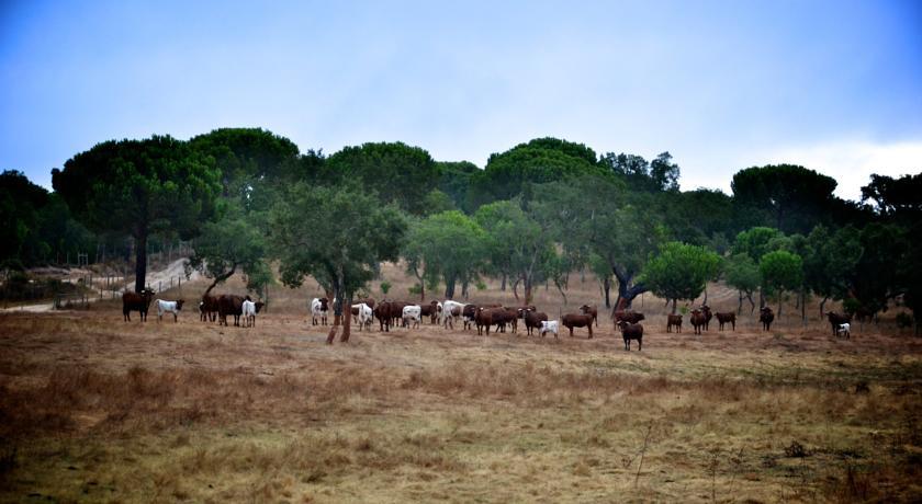 Апартаменты Herdade das Onzenas de Cima