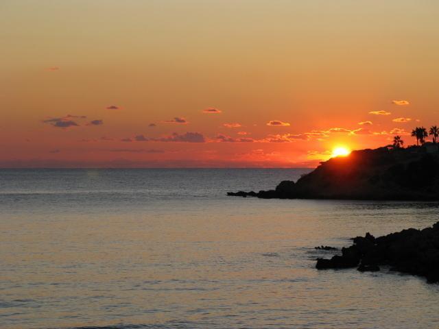 Coral Bay 194