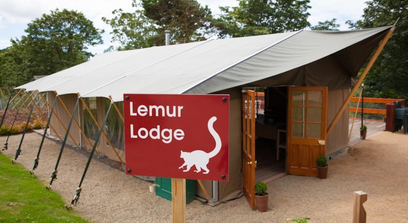 Отель Durrell Wildlife Camp