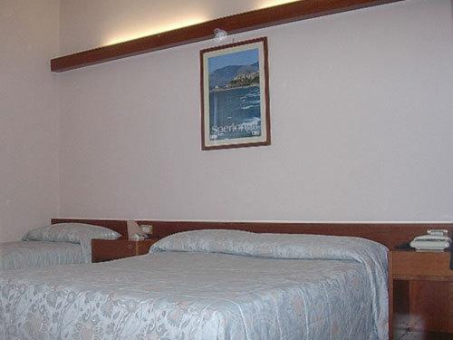 Отель Hotel Excelsior