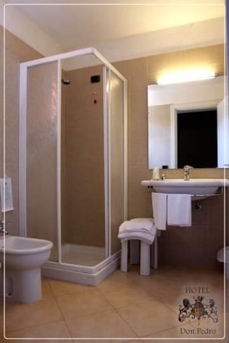 Отель Hotel Don Pedro