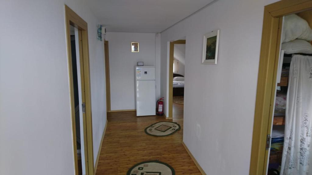 Гостевой дом Vila Ciobanel