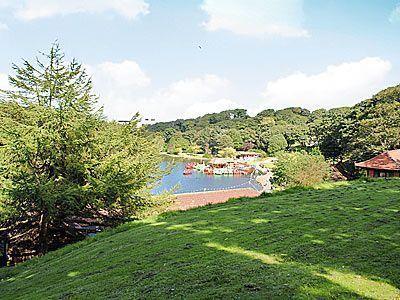 Lake View