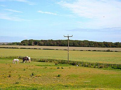 Отель North Farm Retreat