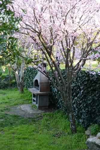 Апартаменты Casa Rural El Pilar