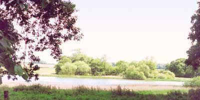 Отель The Stables