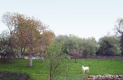 Отель The Stables