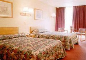 Отель Econo Lodge Coliseum