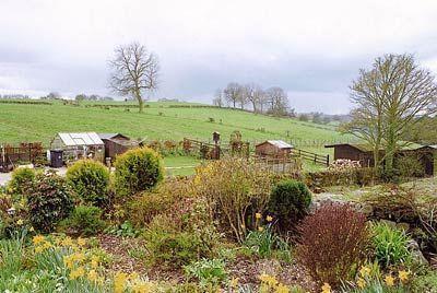 Отель Boskin Cottage