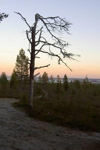 Отель Lapiosalmen Matkailukeskus