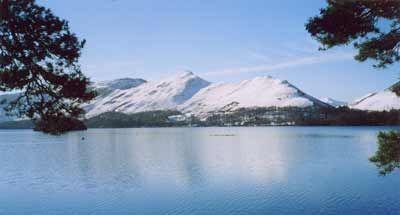 Отель Rosedale