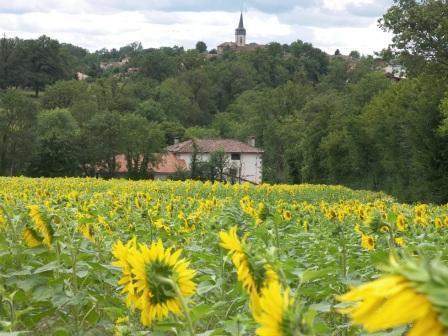 Апартаменты Le Moulin du Pont Charraud