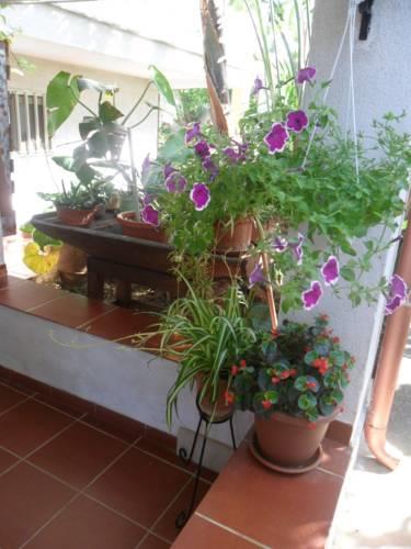 Апартаменты Garden Fiorella