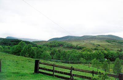 Отель Mountain View