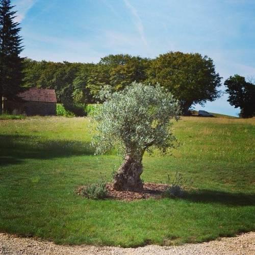 Апартаменты Gîte de Toulgou