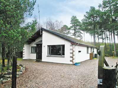 Апартаменты Birch Tree Cottage