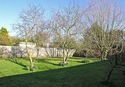 Отель Meadow View